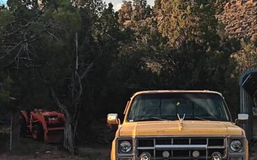Gmc-sierra-1500-1979-yellow