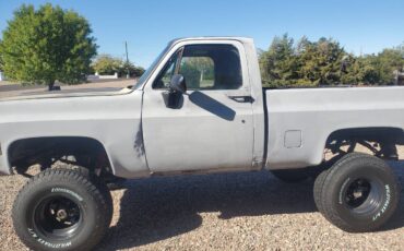 Gmc-sierra-1500-1980-3