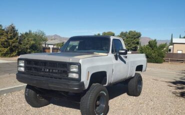 Gmc-sierra-1500-1980