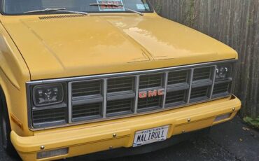 Gmc-sierra-1500-1981-yellow-13