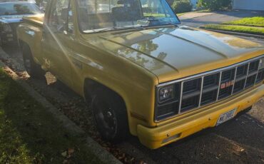 Gmc-sierra-1500-1981-yellow-4