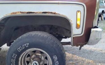 Gmc-sierra-1980-brown-3