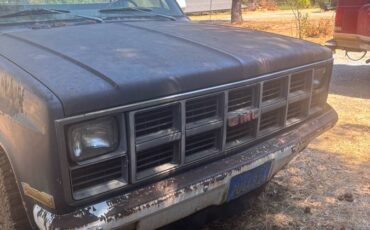 Gmc-sierra-1981-blue