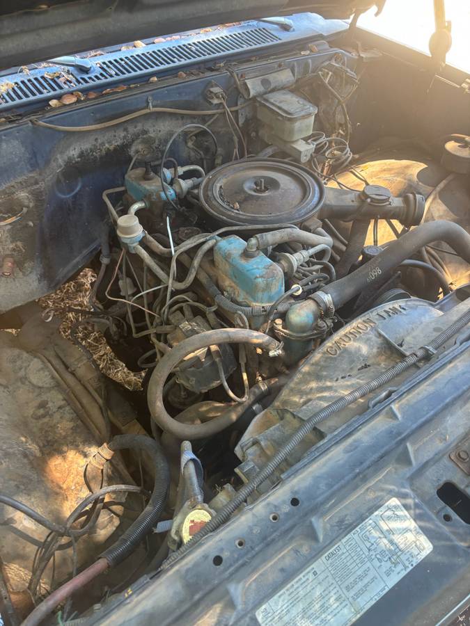 Gmc-sierra-1981-blue-4
