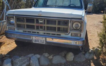 Gmc-sierra-25-1977-white-1