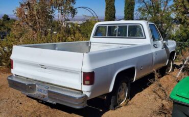 Gmc-sierra-25-1977-white-8