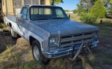 Gmc-sierra-2500-1976-silver-7