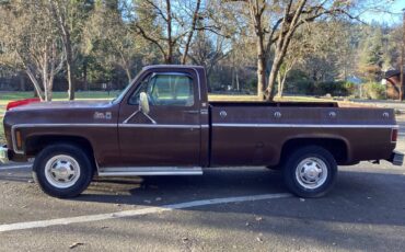Gmc-sierra-2500hd-1978-brown-5