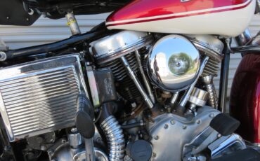 Harley-Davidson-FL-1965-10