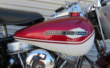 Harley-Davidson-FL-1965-12