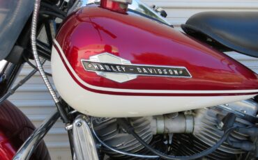 Harley-Davidson-FL-1965-17