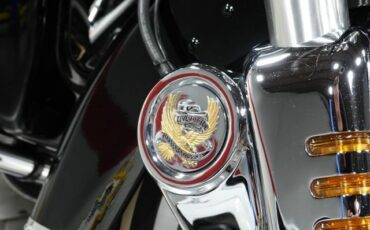 Harley-Davidson-FLHTCUI-1995-7
