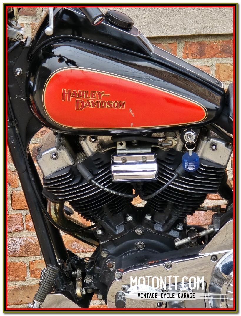 Harley-Davidson-FXR-1982-19