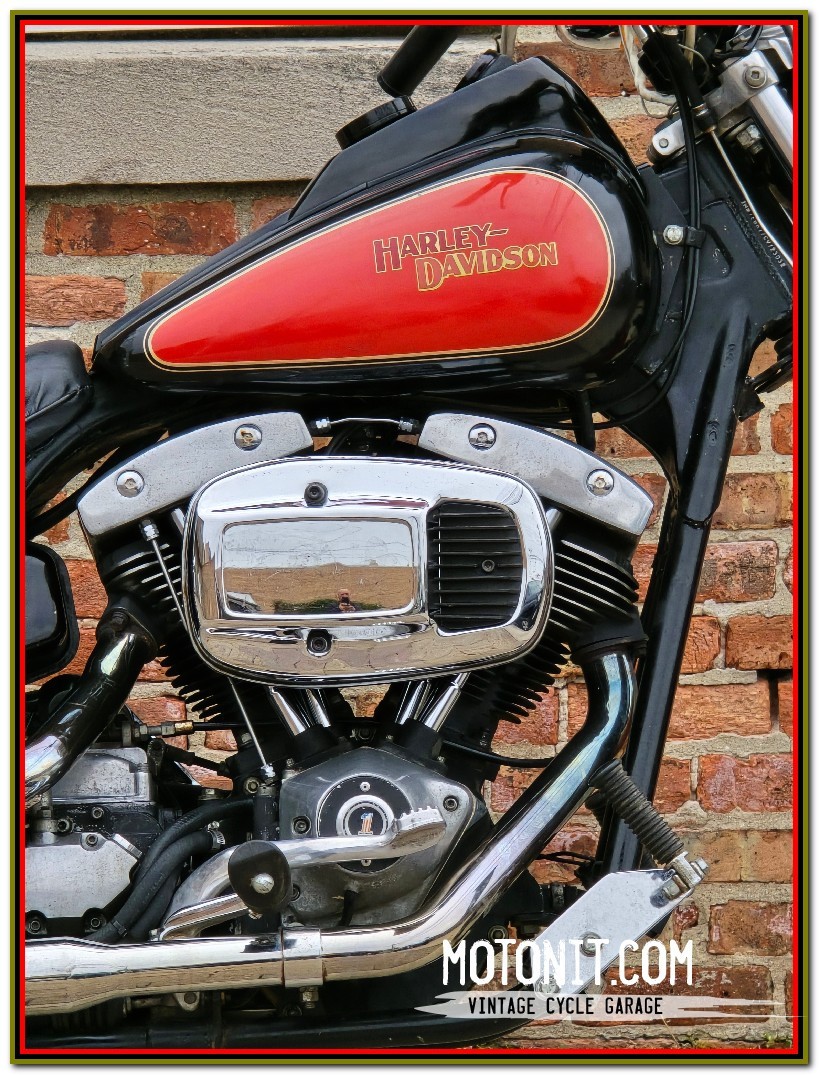 Harley-Davidson-FXR-1982-3