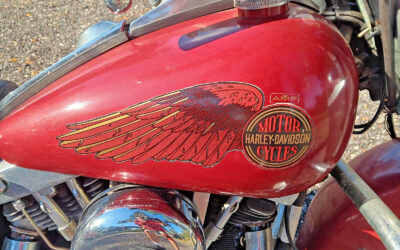 Harley-Davidson Other 1981