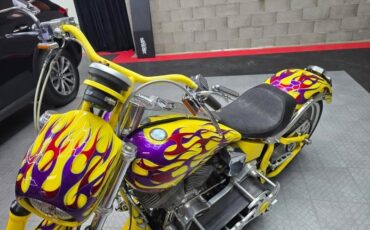 Harley-Davidson-Other-1991-3