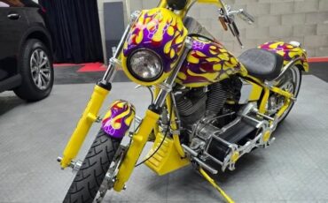 Harley-Davidson-Other-1991-6