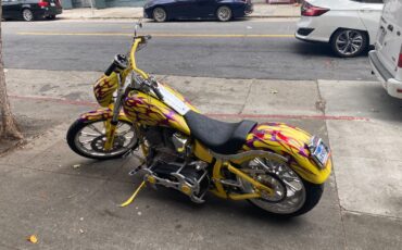 Harley-Davidson-Other-1991-7