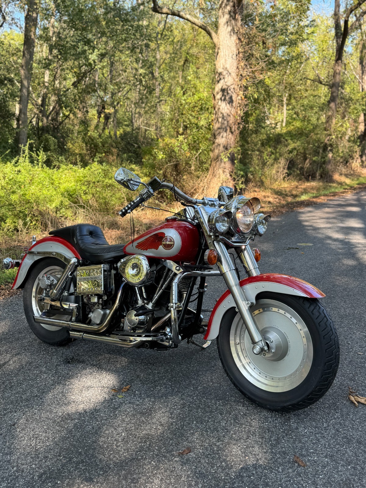 Harley-Davidson-Softail-1973-1