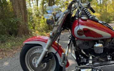 Harley-Davidson-Softail-1973-11