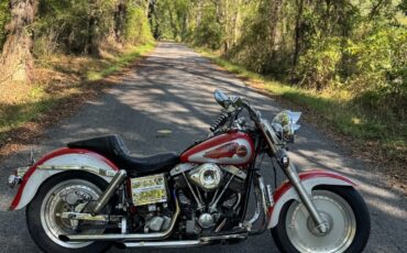 Harley-Davidson-Softail-1973-2