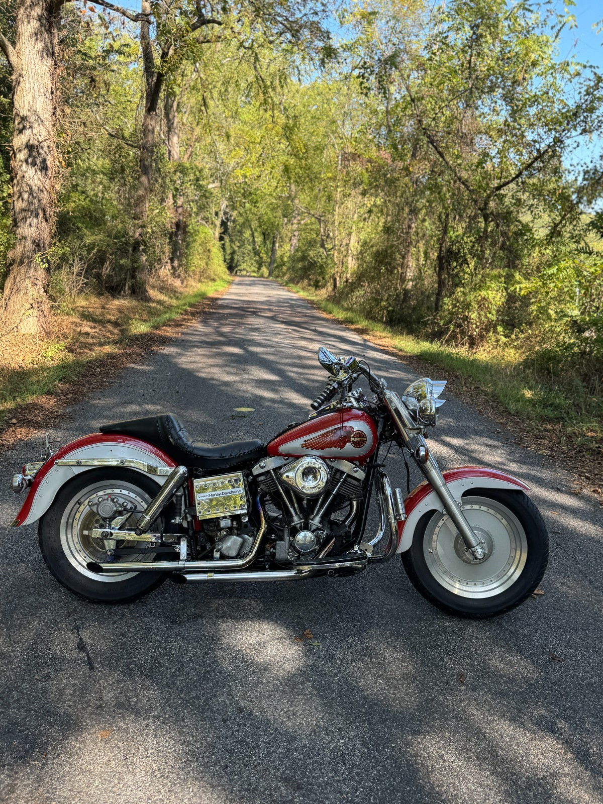 Harley-Davidson-Softail-1973-2