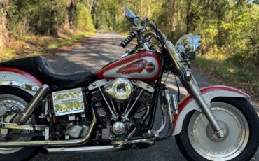 Harley-Davidson-Softail-1973-3