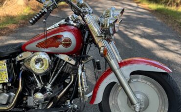 Harley-Davidson-Softail-1973-4