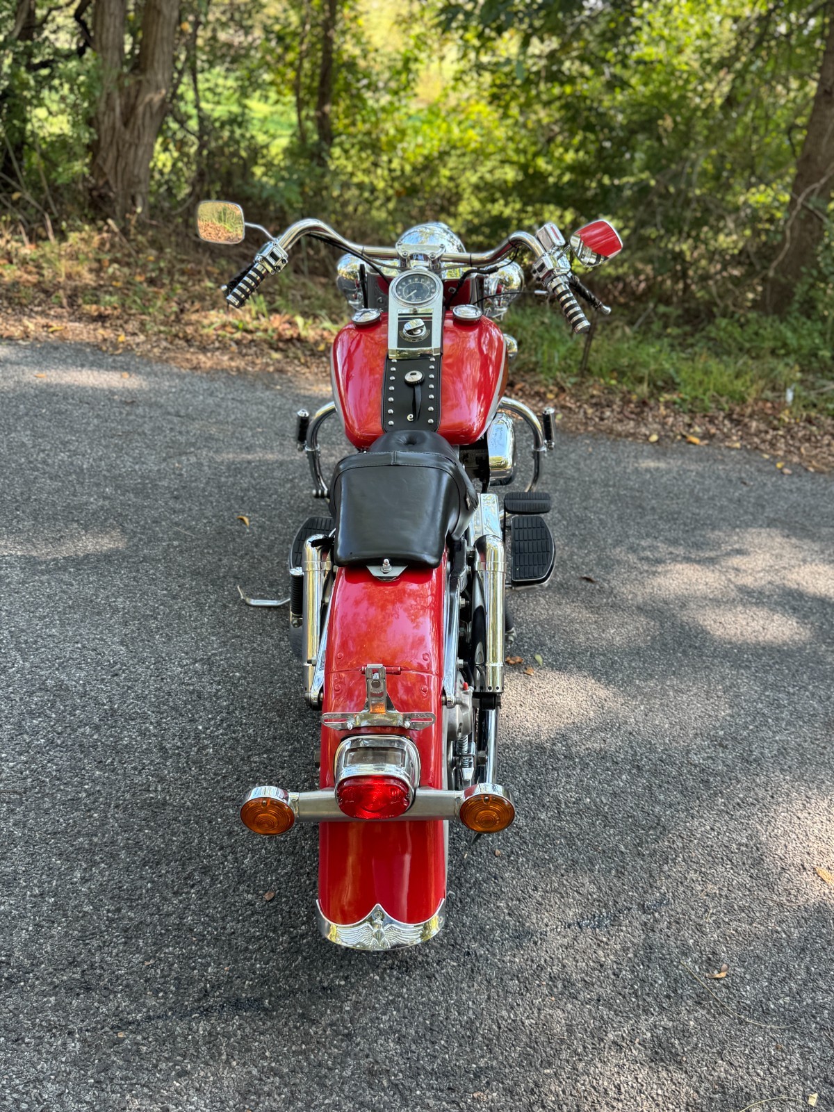 Harley-Davidson-Softail-1973-6