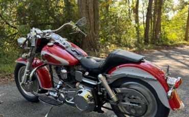 Harley-Davidson-Softail-1973-8