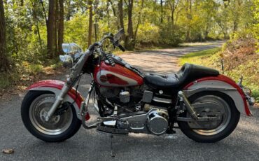Harley-Davidson-Softail-1973-9