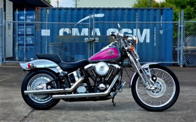 Harley-Davidson Softail 1993