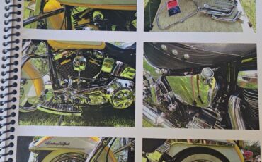 Harley-Davidson-Softail-1995-1