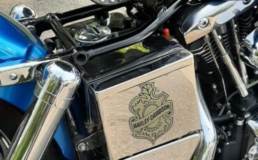 Harley-Davidson-Touring-1970-11