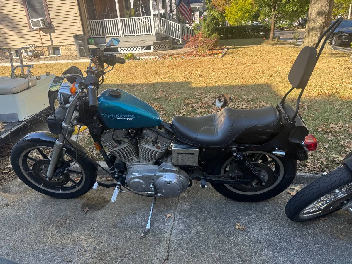 Harley-davidson-1995-blue-3