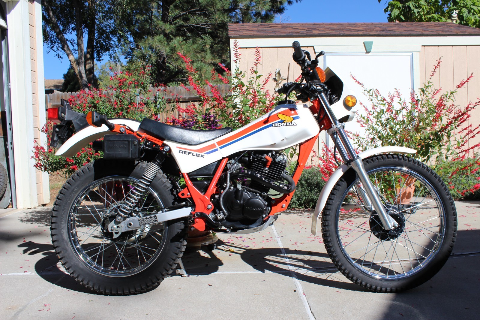 Honda-TLR-REFLEX-1986-14