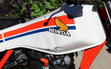 Honda-TLR-REFLEX-1986-8