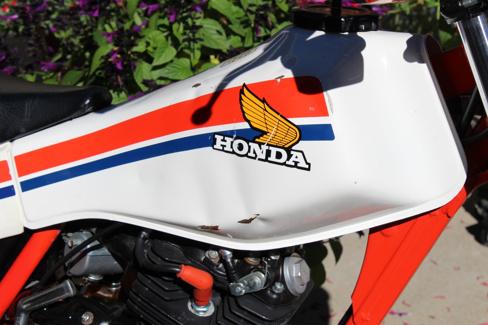 Honda-TLR-REFLEX-1986-8