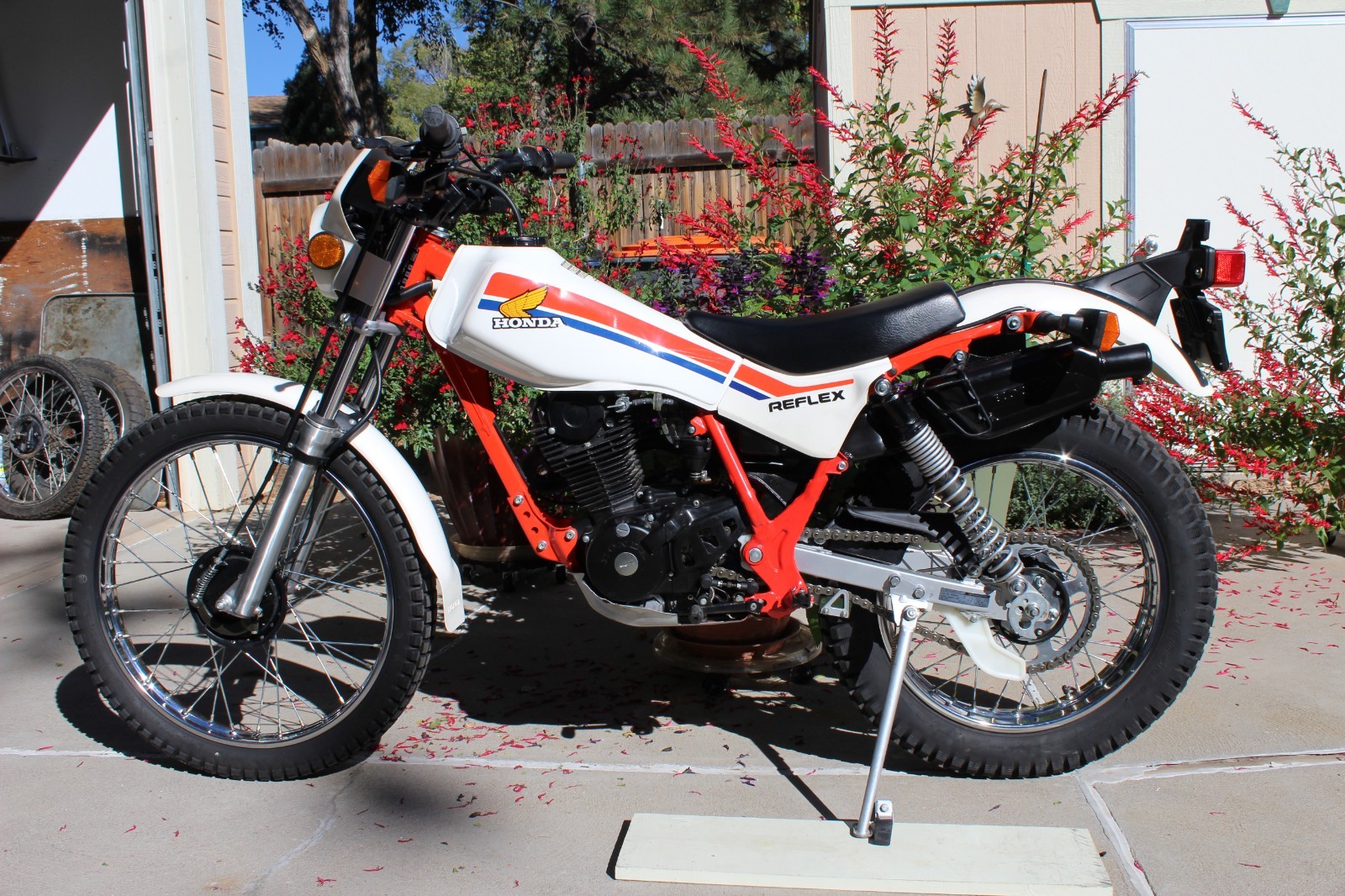Honda-TLR-REFLEX-1986