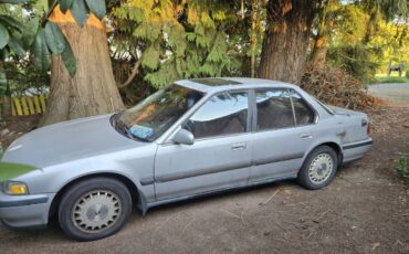 Honda-accord-1993-grey-1