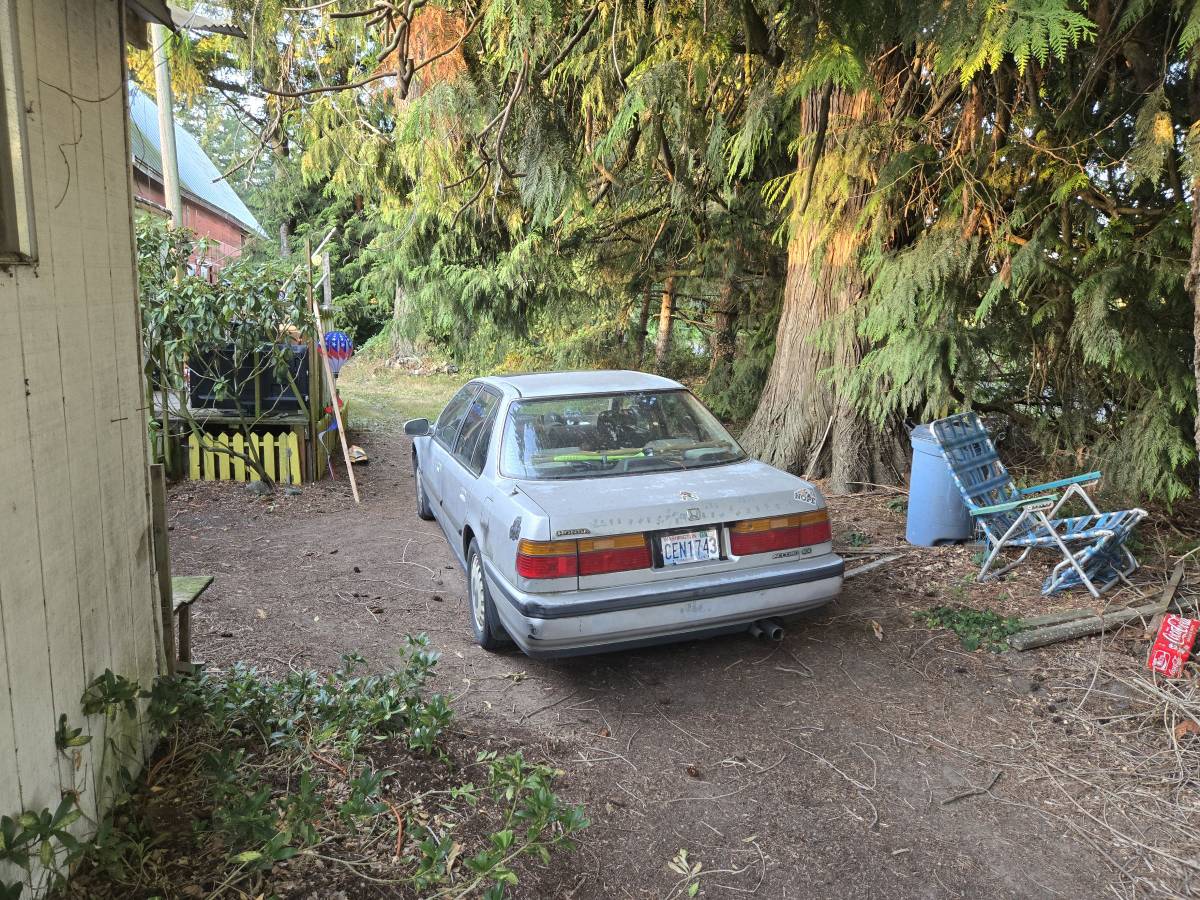 Honda-accord-1993-grey