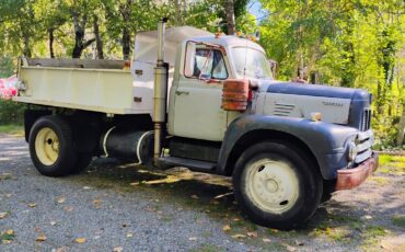 International-diesel-1965-grey-1