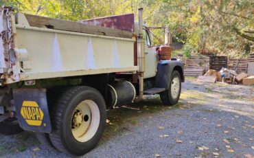 International-diesel-1965-grey-17