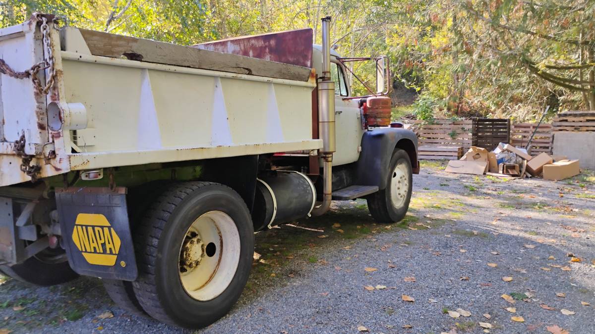 International-diesel-1965-grey-17