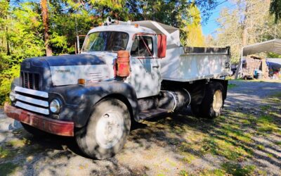 International diesel 1965