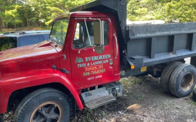 International s1600 diesel 1988