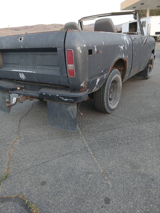 International-scout-1974-grey-3