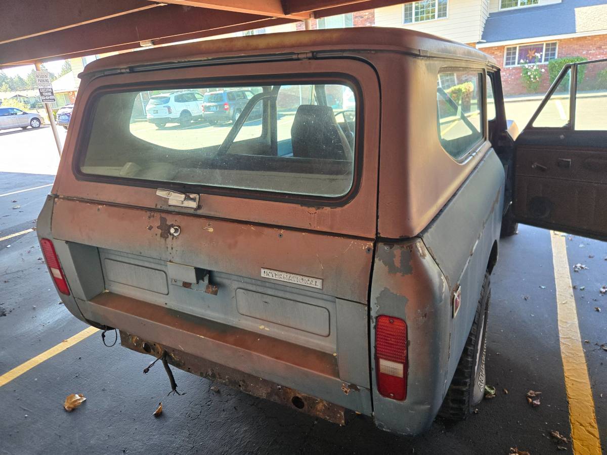 International-scout-1978-3