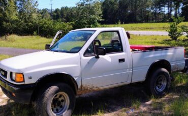 Isuzu-npr-1991-white-1