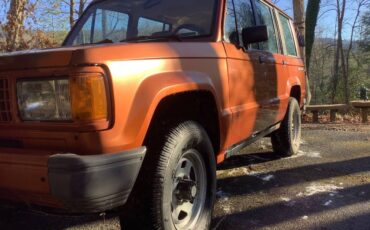 Isuzu-trooper-1989-orange-16